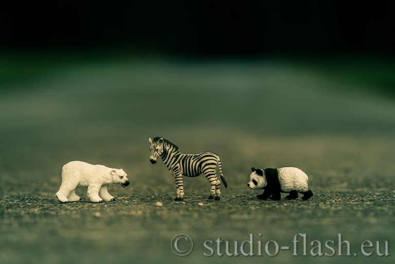 animaux, miniature, vente, 