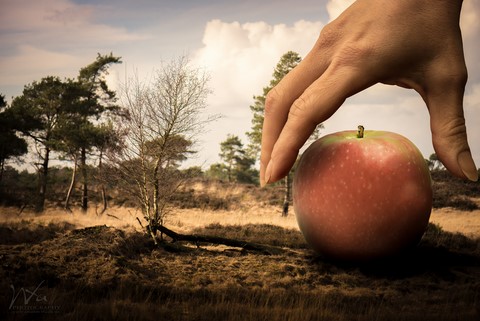 Apple photo manipulation de Wttrwulghe Xavier