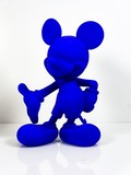 Mickey Blue de Wttrwulghe Xavier