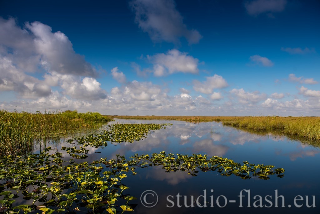 Everglades de Wttrwulghe Xavier