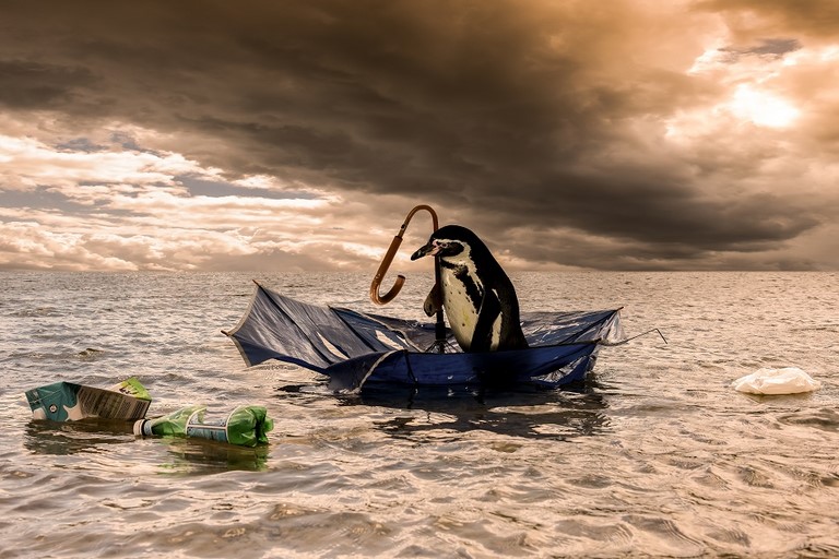 Un Pingouin et son parapluie