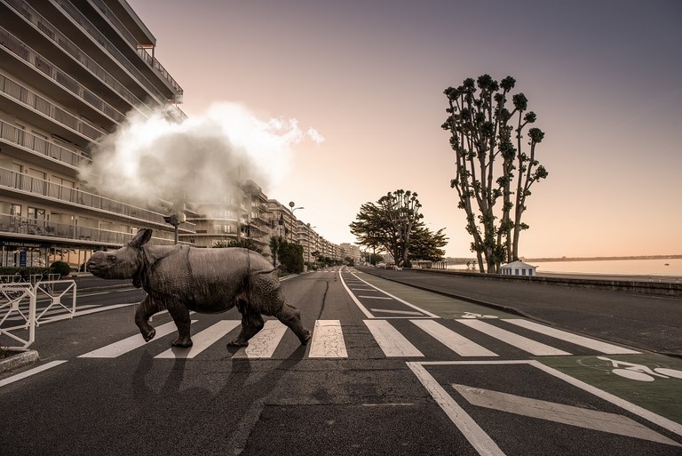 Un Rhino à la Baule