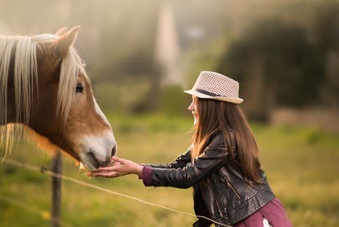 le cheval avec l'enfant de Wttrwulghe Xavier