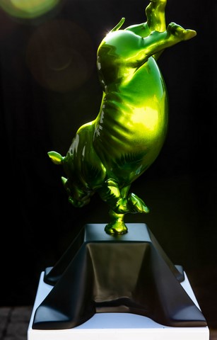 Le rhino danseur Wttrwulghe Xavier