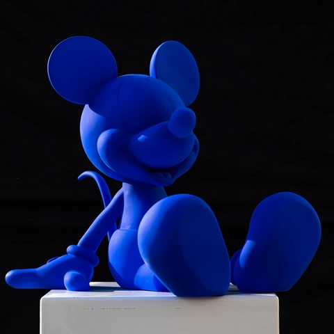 Mickey Blue Mat de Wttrwulghe Xavier