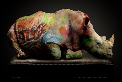 Rhino graffiti de Xavier Wttrwulghe