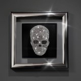 Diamond Skull de Wttrwulghe Xavier