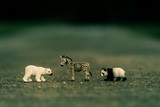 animaux, miniature, vente, 
