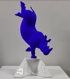 Rhino Bleu Ultra Mat de Wttrwulghe Xavier