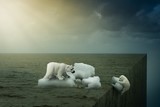 ours polair, polar bear, chute, fonte des glaces