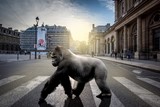 Un Gorille à Paris